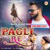 About Pagali Re Song